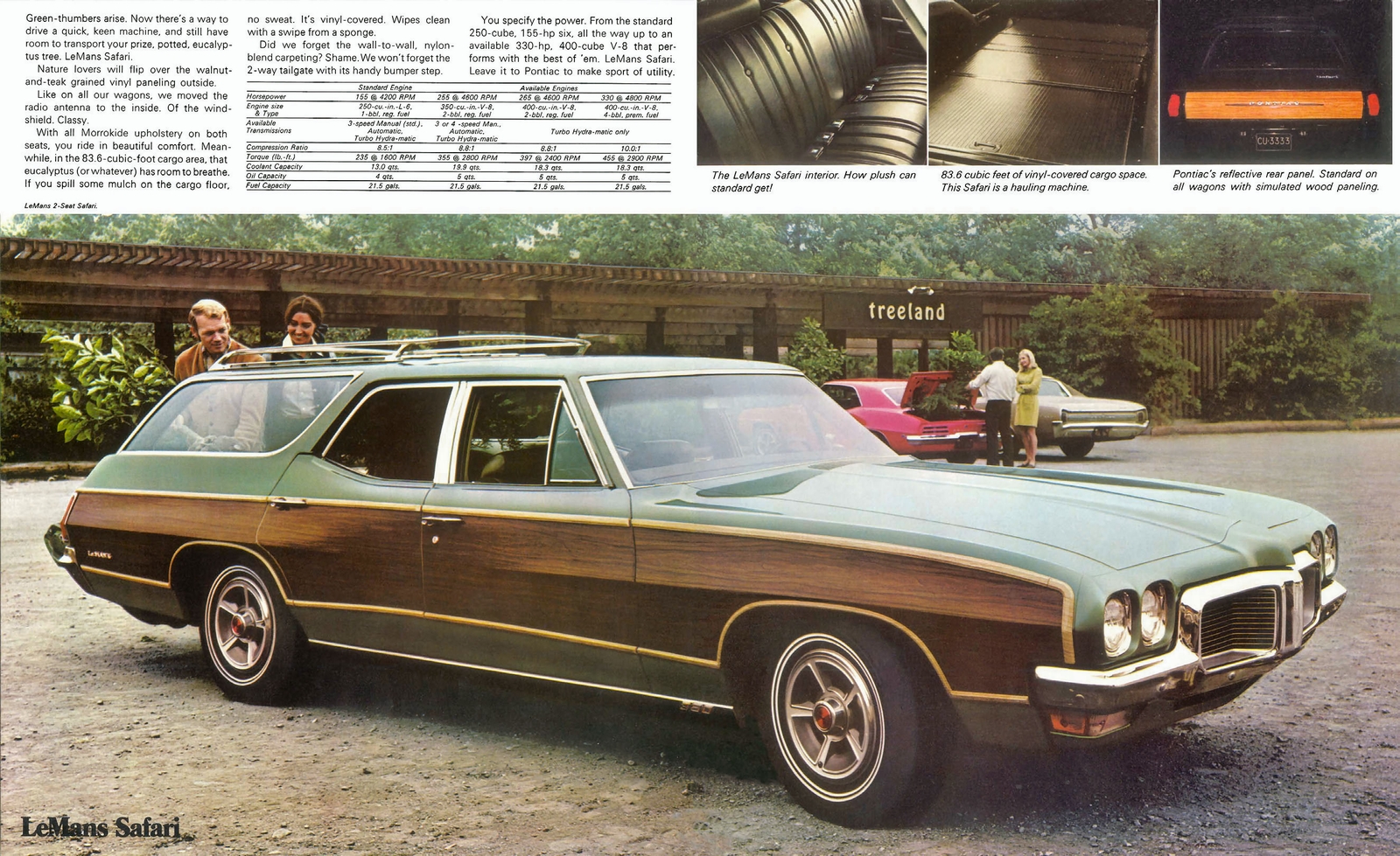 n_1970 Pontiac Wagons-12-13.jpg